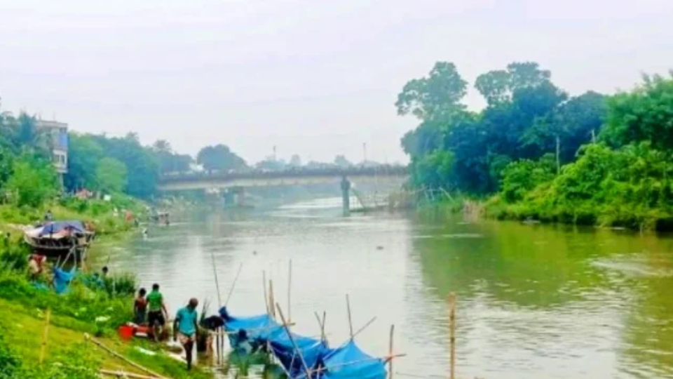 বারনই নদীর কান্না: মাছের মড়কের নেপথ্যে কী