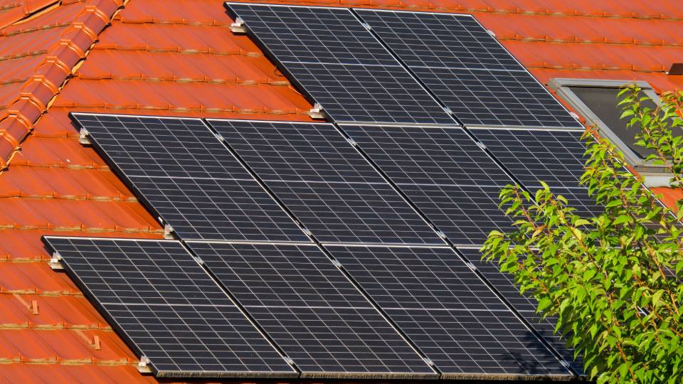 solar-pannel-pexels.jpg